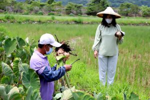 花蓮出遊安心住 疫後膳食放心吃秧悦美地聯手知名營養師開發養生料理