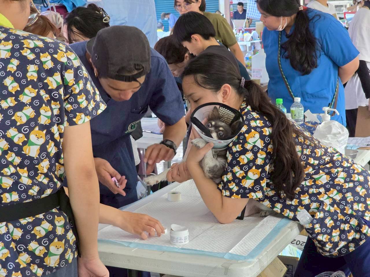 受堰塞湖災害影響  「2025愛戀花蓮健走活動—10月10日國慶健走 浪愛回家」活動延期至12月辦理