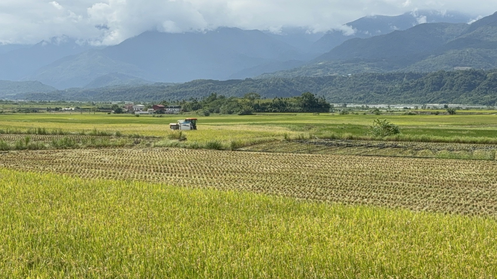鳳凰颱風可能影響台灣　花蓮縣政府籲農友提前整備、防範災害