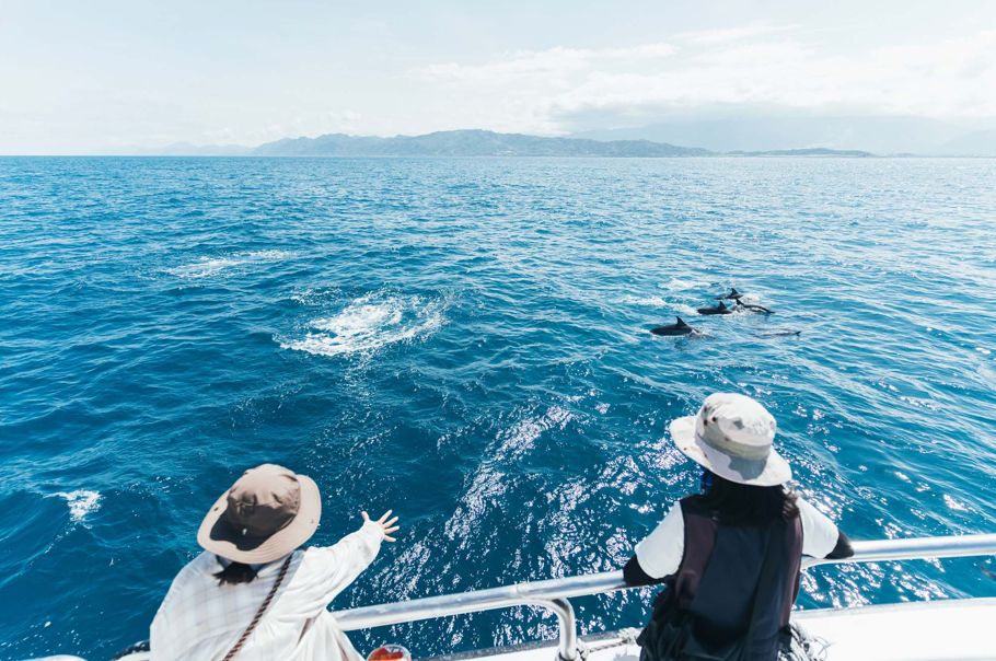「繁花盛開」計畫     8大主題創意照片徵件     邀您在花蓮·找回自己插图2