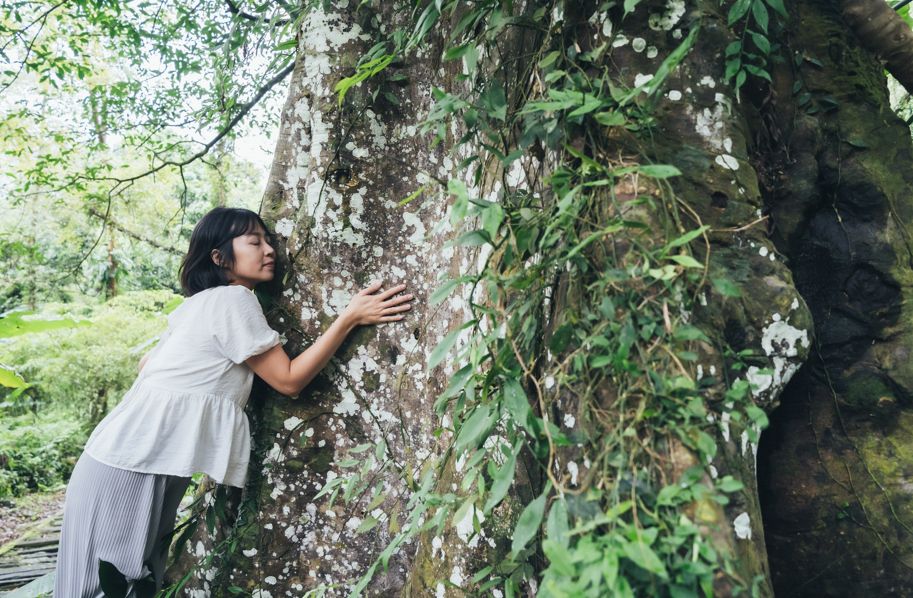 「繁花盛開」計畫     8大主題創意照片徵件     邀您在花蓮·找回自己插图3