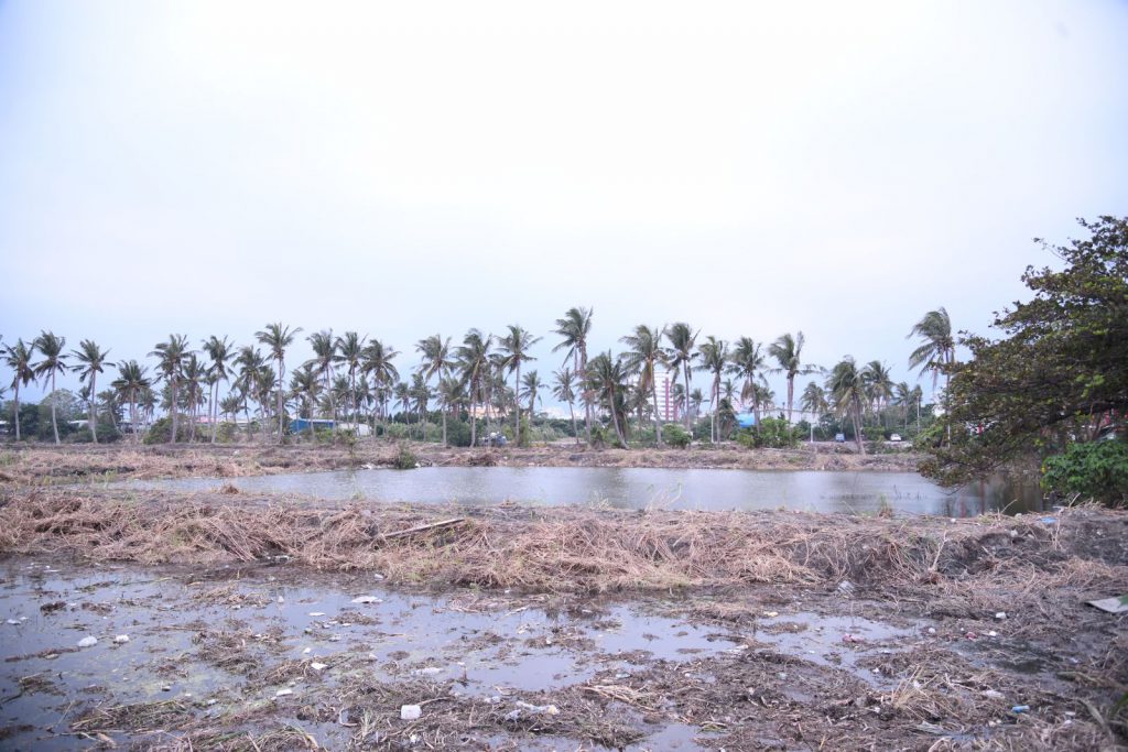 花蓮最大生態公園南濱滯洪池工程動土    兼顧防洪與生態休憩插图4