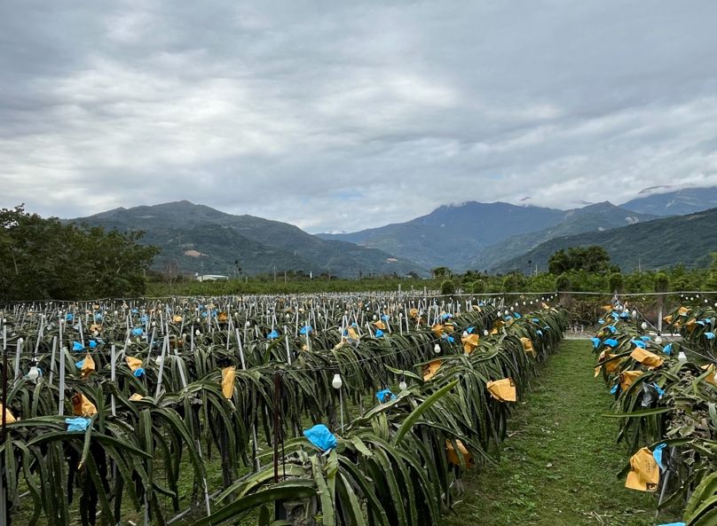 臺東縣全國首例通過縣有地放領審議    落實遲來土地正義