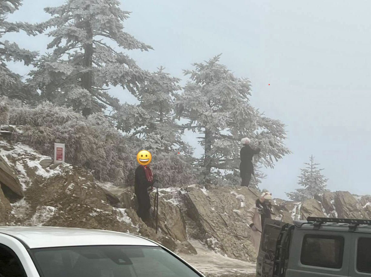 元旦假期違規頻傳    太管處呼籲民眾在國家公園應建立尊重山林素養缩略图