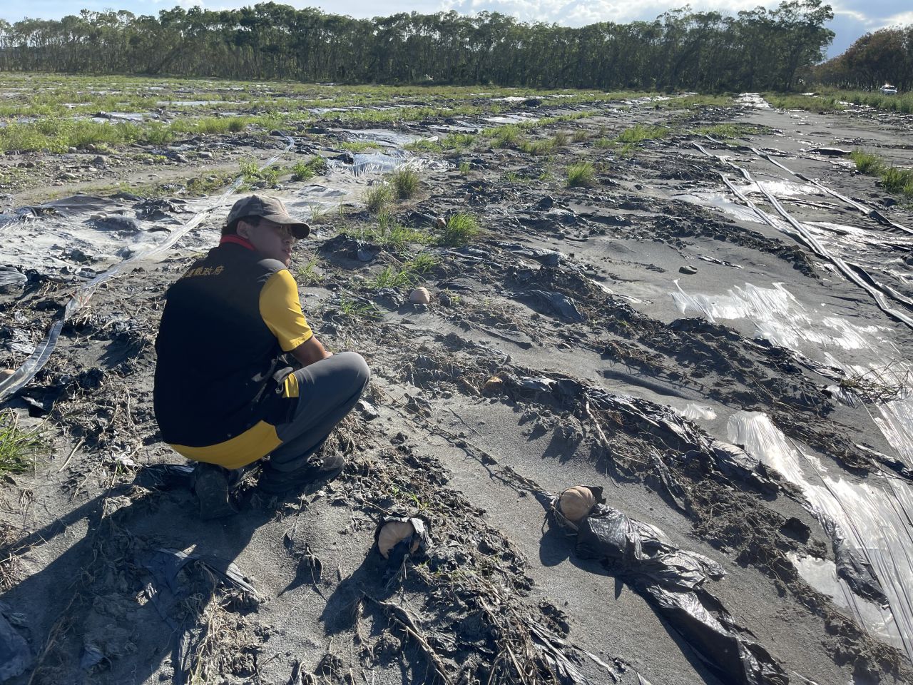 115年馬太鞍溪堰塞湖洪災    農地修復期間    專案休耕給付申報至2/6止缩略图