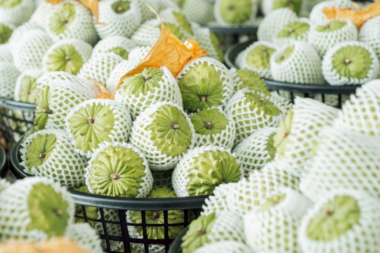 臺東深耕星國3年見效    鳳梨釋迦銷售突破1.6萬公斤