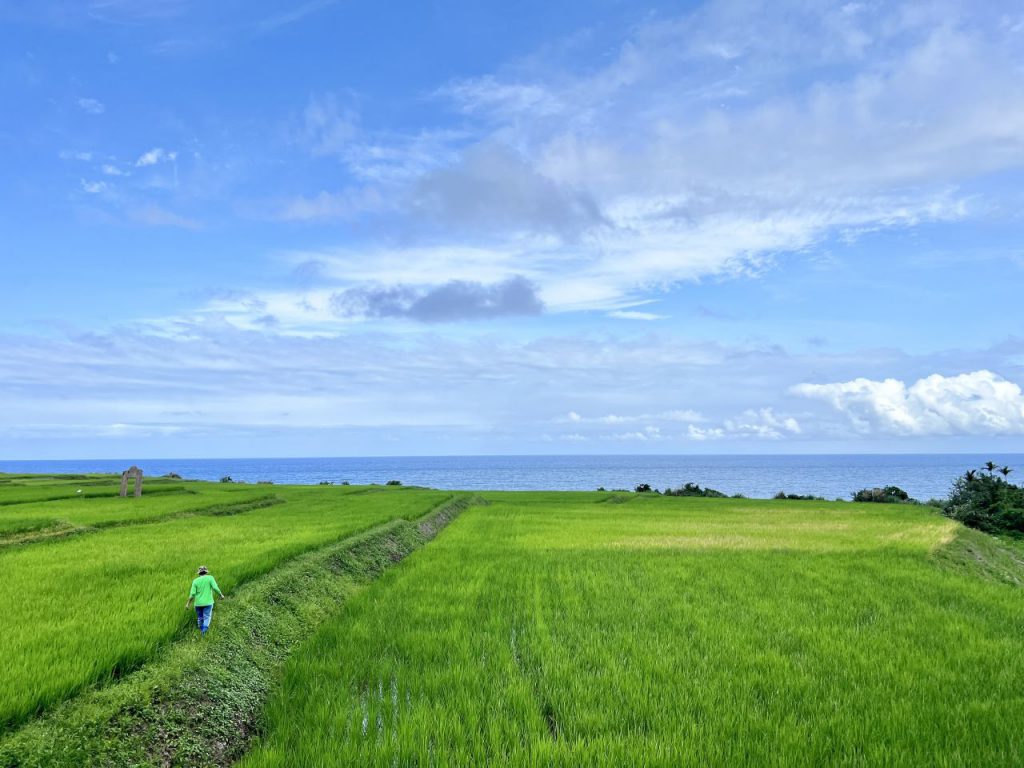挺過寒冬、花蓮準備好了　縣府攜手觀光業推動轉型　春節邀國人見證韌性之美插图1
