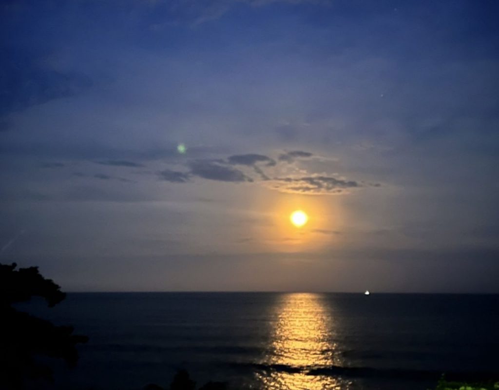 挺過寒冬、花蓮準備好了　縣府攜手觀光業推動轉型　春節邀國人見證韌性之美插图3