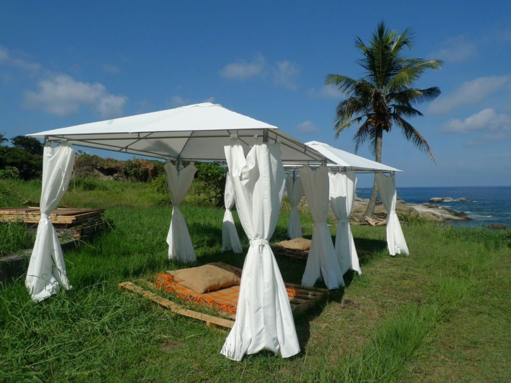 挺過寒冬、花蓮準備好了　縣府攜手觀光業推動轉型　春節邀國人見證韌性之美插图4