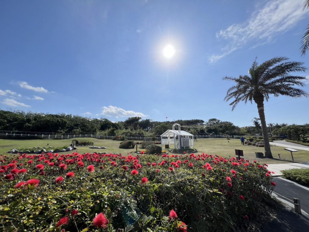 花蓮走春「馬」上出發    開箱市區三大百花奇境插图2