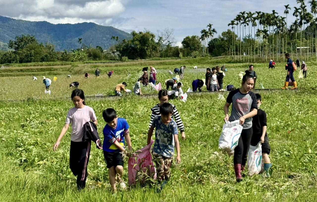 拔蘿蔔趣    縣府攜手瑞穗鄉農會推動食農教育缩略图