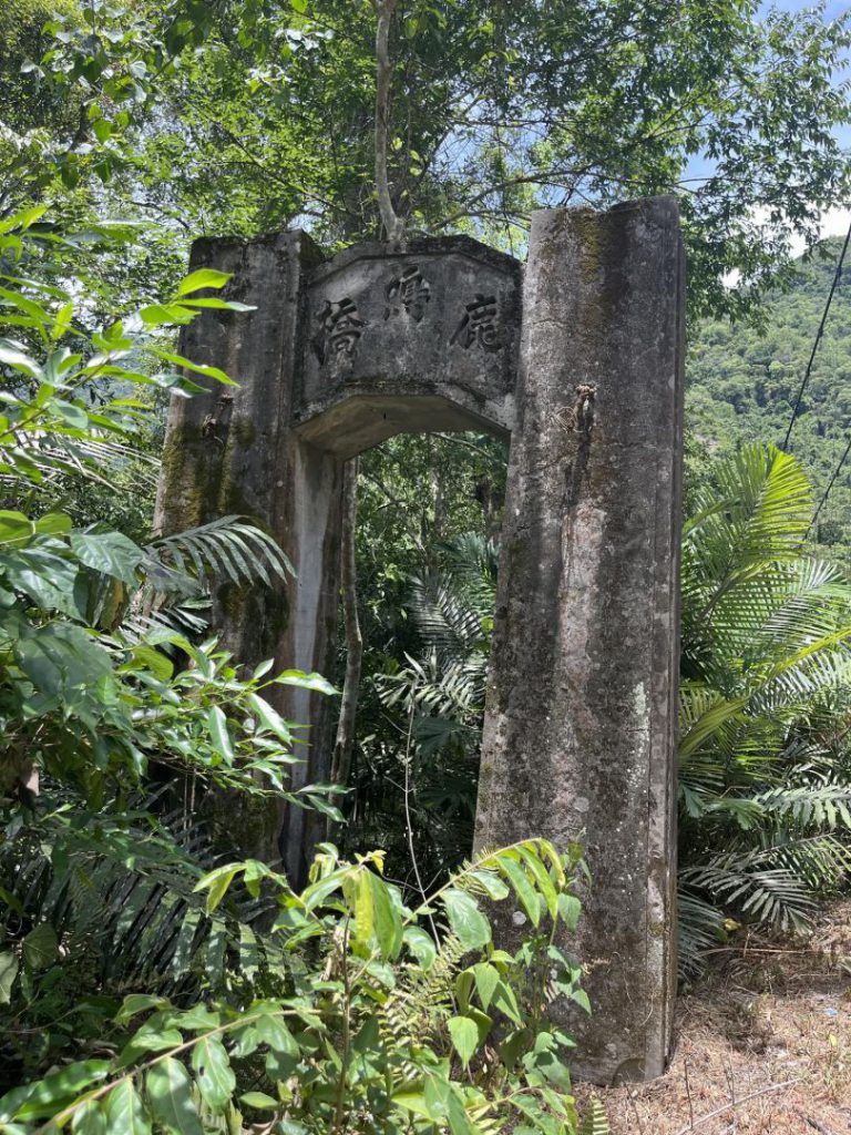 林保署花蓮分署「八通關越嶺道路鹿鳴吊橋段」 步道修復完成迎春開放插图