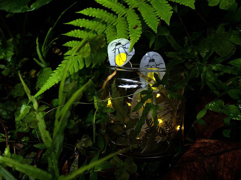 池南自然教育中心「螢光悄悄話」活動    開放報名插图