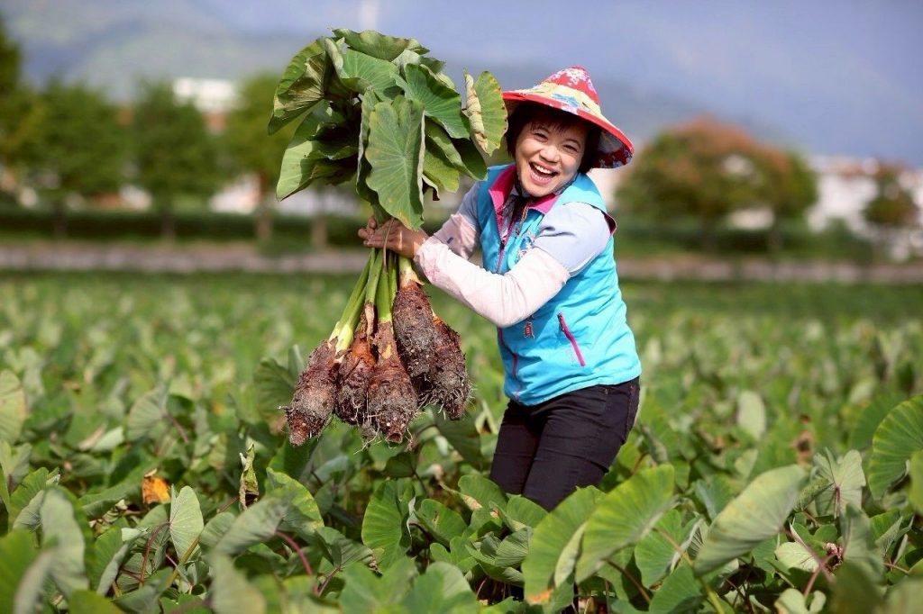 打造亞洲最療癒山海城市     游淑貞號召觀光業者共築「太平洋雕塑之都」願景插图
