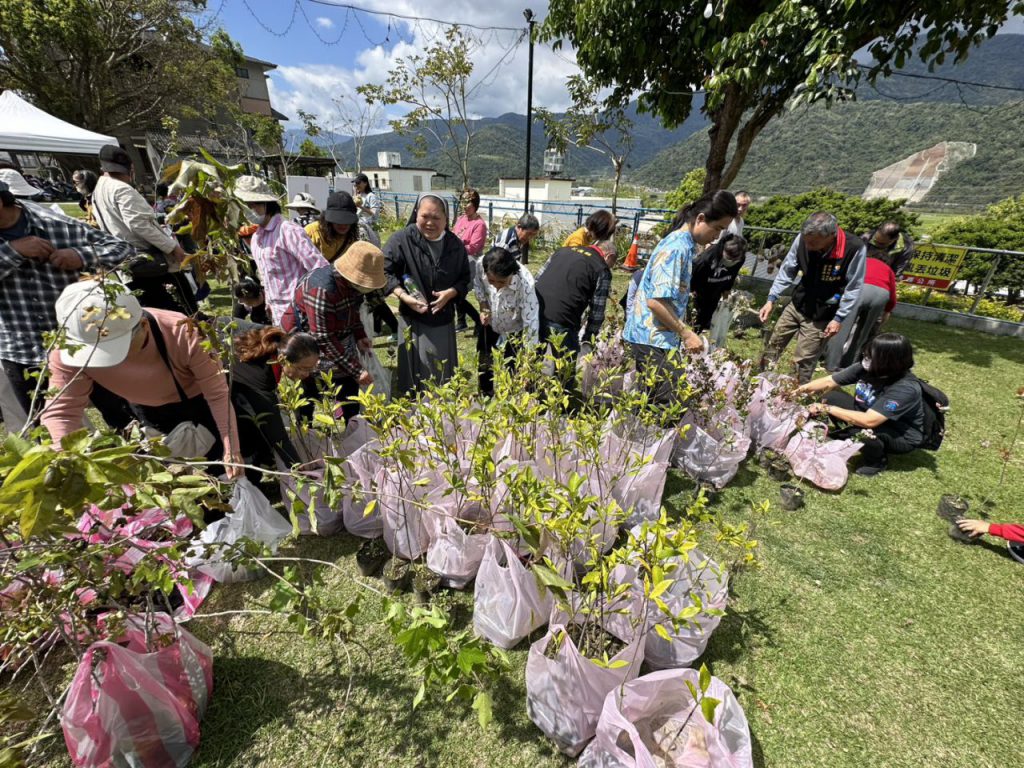 富里鄉公所打造觀光鏈    天使之眼栽種近500棵山櫻花插图2