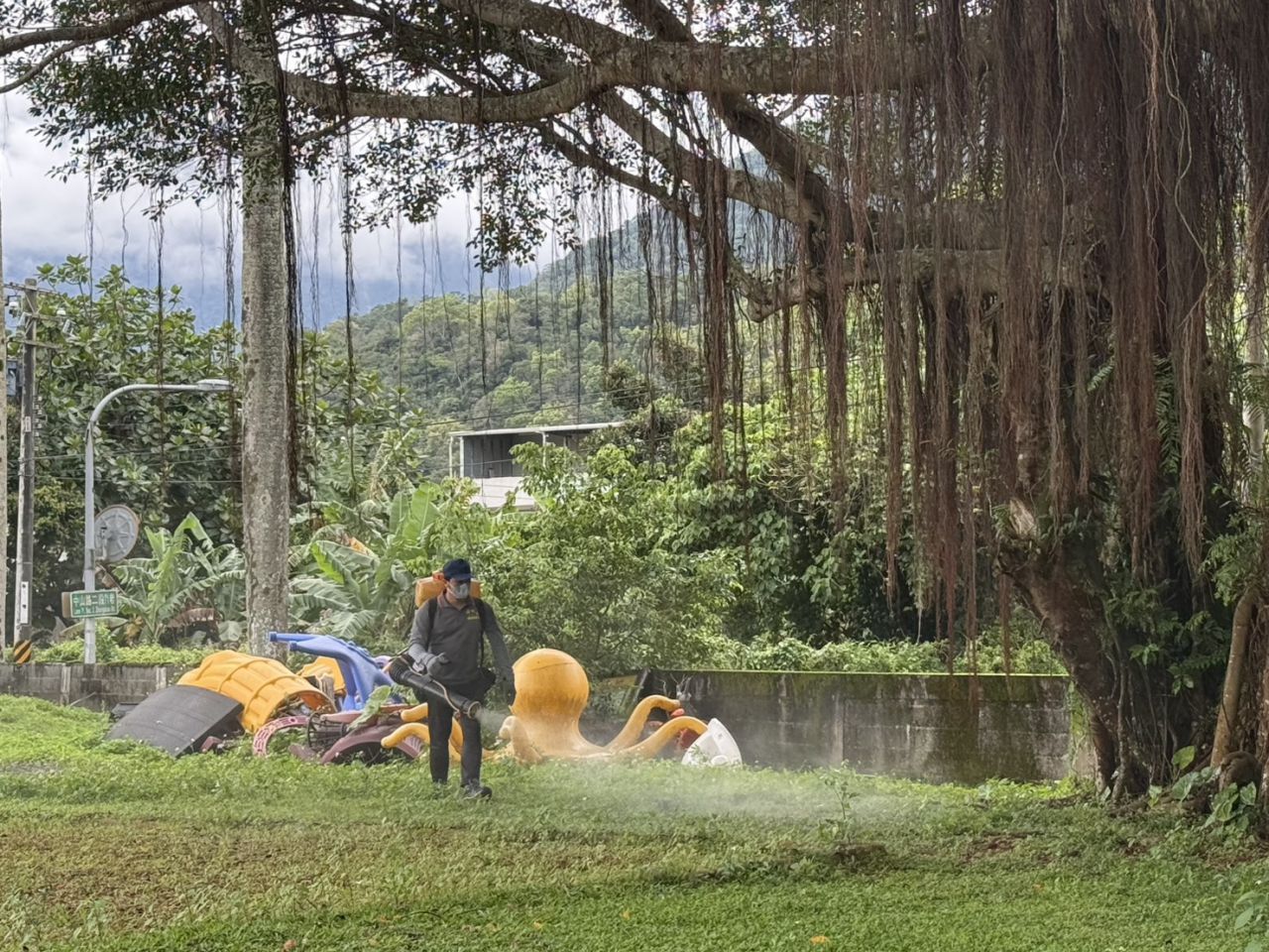花蓮市公所於國福國小周邊執行環境噴藥    提前防治小黑蚊　缩略图