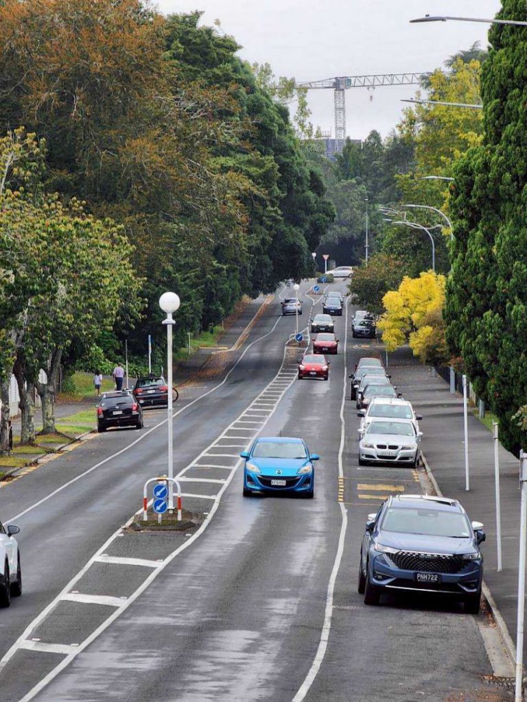 從漢密爾頓出發　花蓮市深化城市規劃與觀光發展藍圖插图3