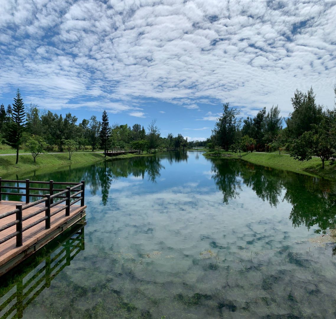 臺東森林公園自5月1日起取消入園收費缩略图