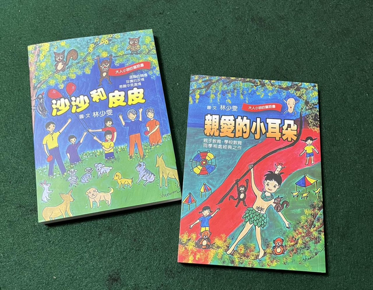 作家林少雯暖贈優質童書     豐富花蓮130校閱讀風景缩略图