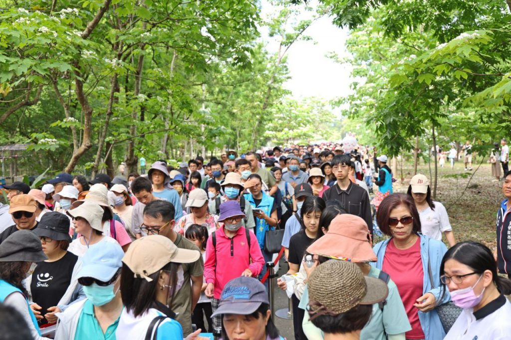 吉安桐花祭游淑貞伴三千遊客    漫遊客庄賞桐趣插图