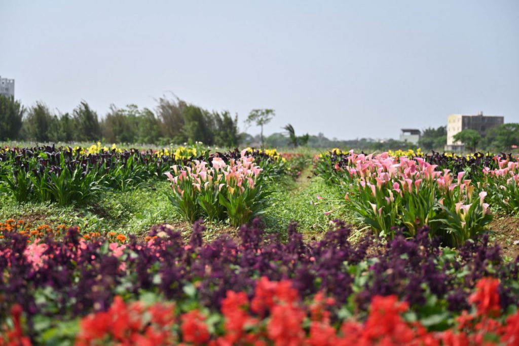 跨域整合運動文化 激發農遊創意 花蓮縣政府赴桃觀摩溪海休閒農業區　插图2