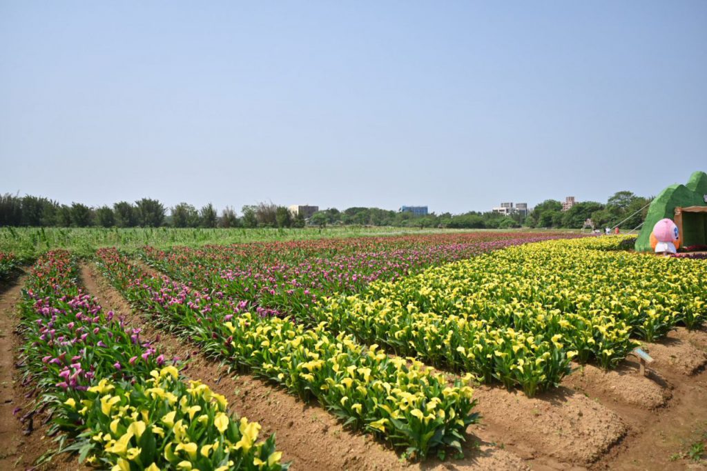 跨域整合運動文化 激發農遊創意 花蓮縣政府赴桃觀摩溪海休閒農業區　插图