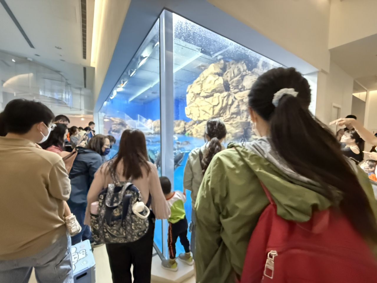 深化海洋保育與環境教育　花蓮縣政府赴 Xpark 觀摩水生展示與科普推廣