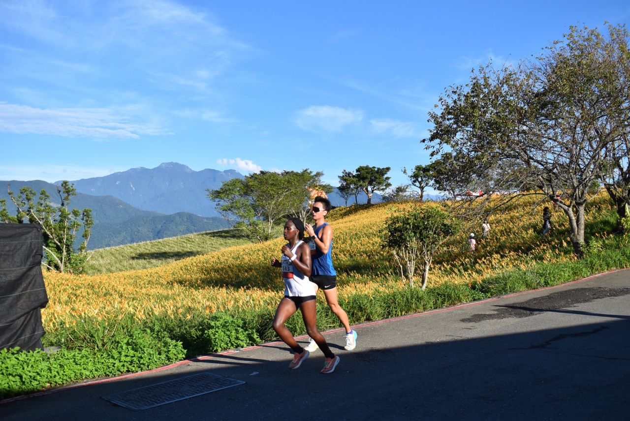 富里準備好了   等你來挑戰    六十石山馬拉松    金色花海　最美賽道開放報名插图2