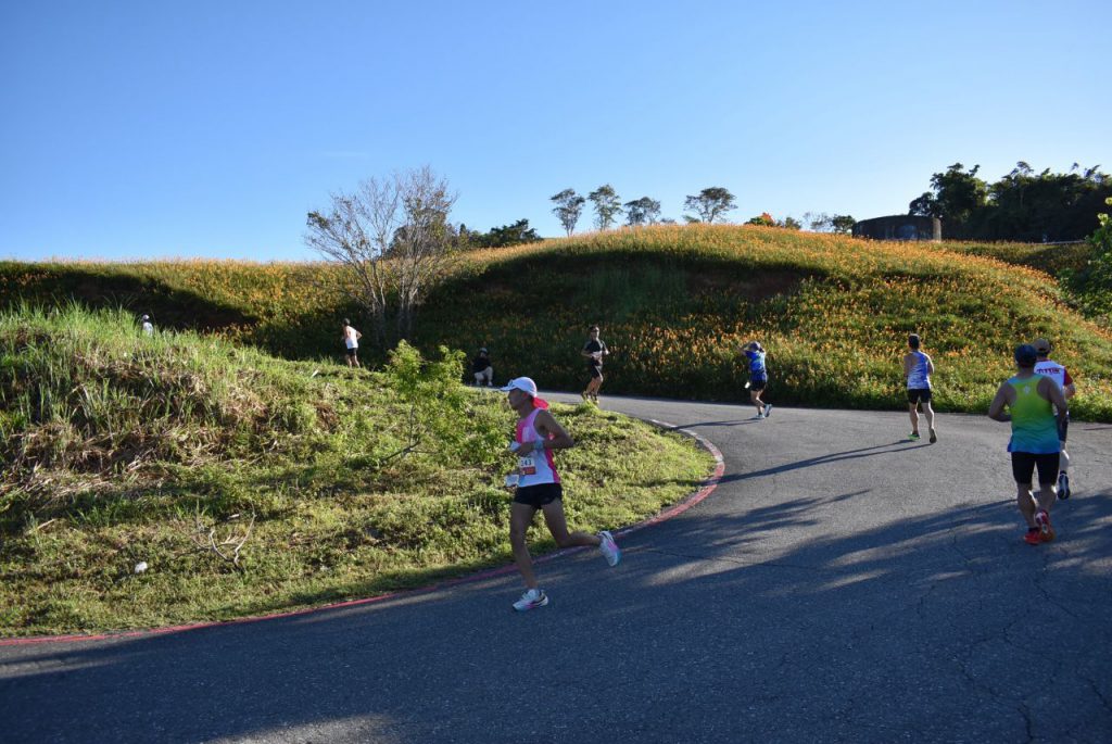 準國際型馬拉松在富里    六十石山超半程馬吸引九國跑者朝聖插图1