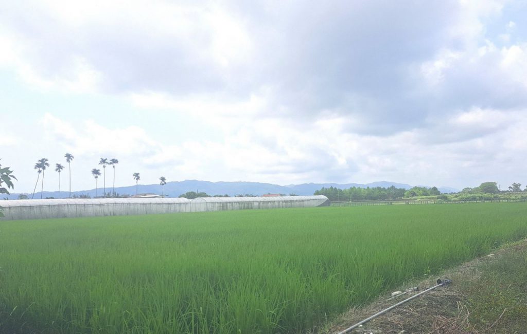 吉安鄉「與農業經營不可分離土地」改課田賦申請開跑插图