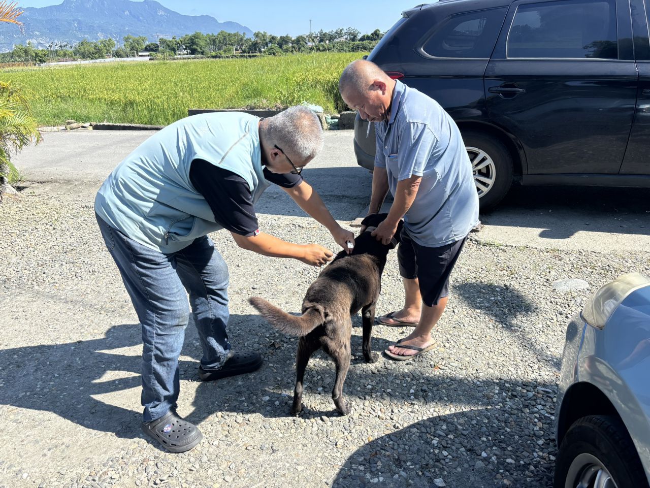 5月驚現3例狂犬病鼬獾 臺東縣政府加強全面防疫措施缩略图