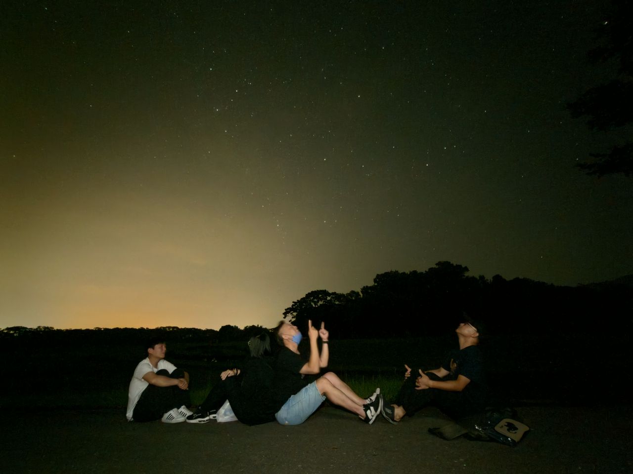 花蓮大農大富星空派對    數百民眾齊聚森林公園    共賞英仙座流星雨缩略图