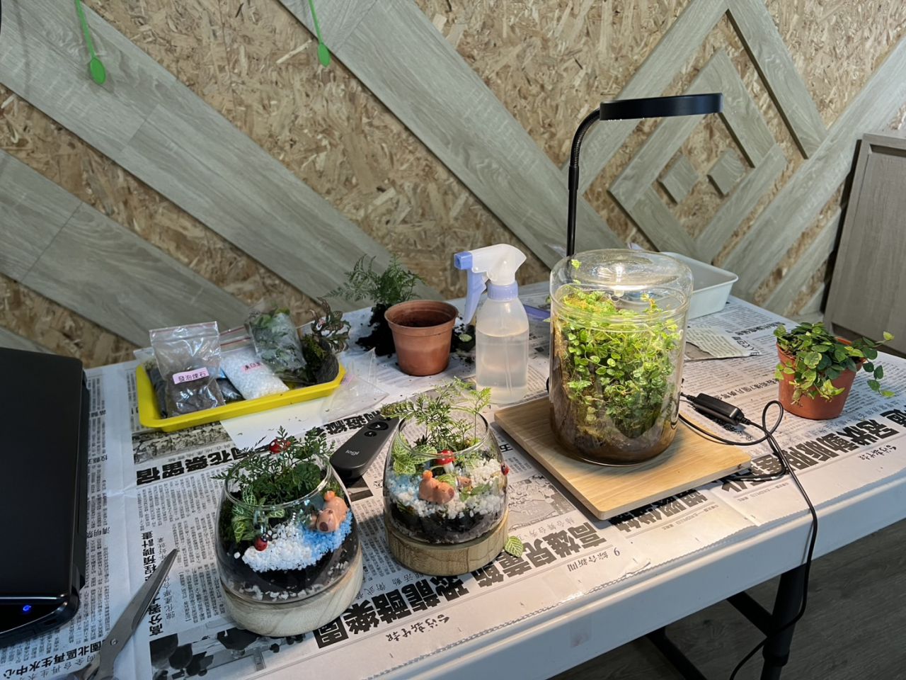 推廣有機農業與生態教育     花蓮縣政府邀民眾打造瓶中的永續森林缩略图