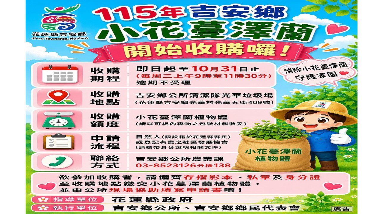 115年吉安鄉小花蔓澤蘭收購正式起跑 缩略图