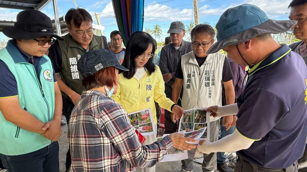 連續豪雨正逢紅龍果採收期　落果裂果災損浮現    陳瑩會勘要求農損認定、補助從簡從速插图
