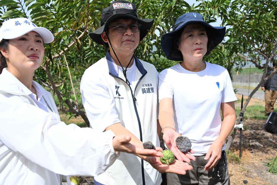 吳秀華持續關心東海岸農漁損　農損救助明起受理申請缩略图