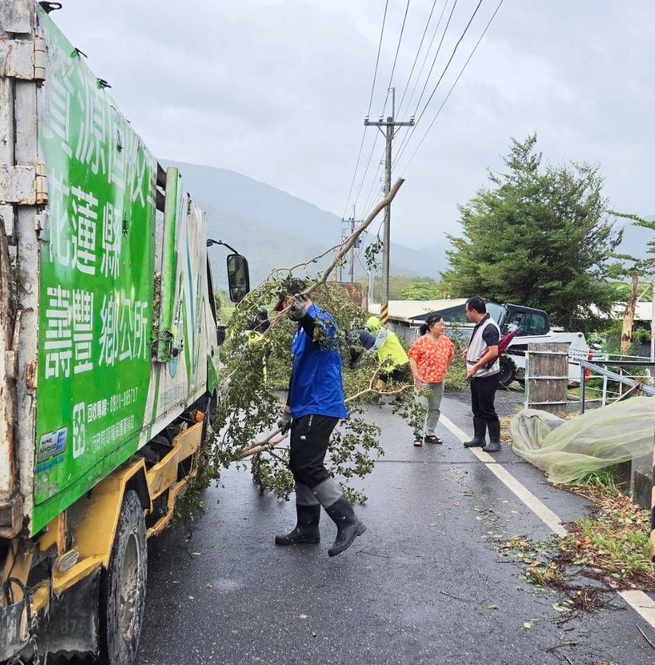 中颱薔琵強風猛烈 壽豐移除倒伏路樹缩略图