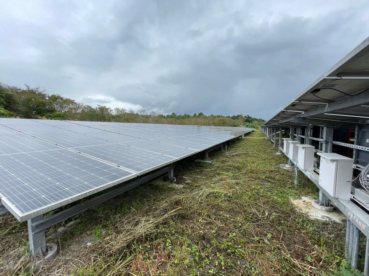 疑似光電案遭調查    縣府說明缩略图