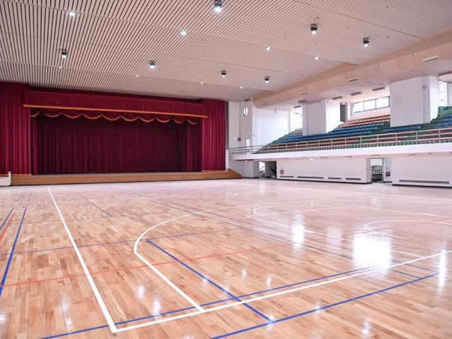 田珍綺提公園及室內場館改善政見 打造特色公園 活用既有場館插图 田珍綺提公園及室內場館改善政見 打造特色公園 活用既有場館插图