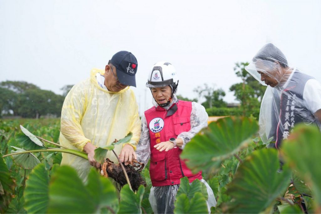 從地方防災協力到六級農業升級 游淑貞擘畫花蓮健康農業新願景插图 從地方防災協力到六級農業升級 游淑貞擘畫花蓮健康農業新願景插图