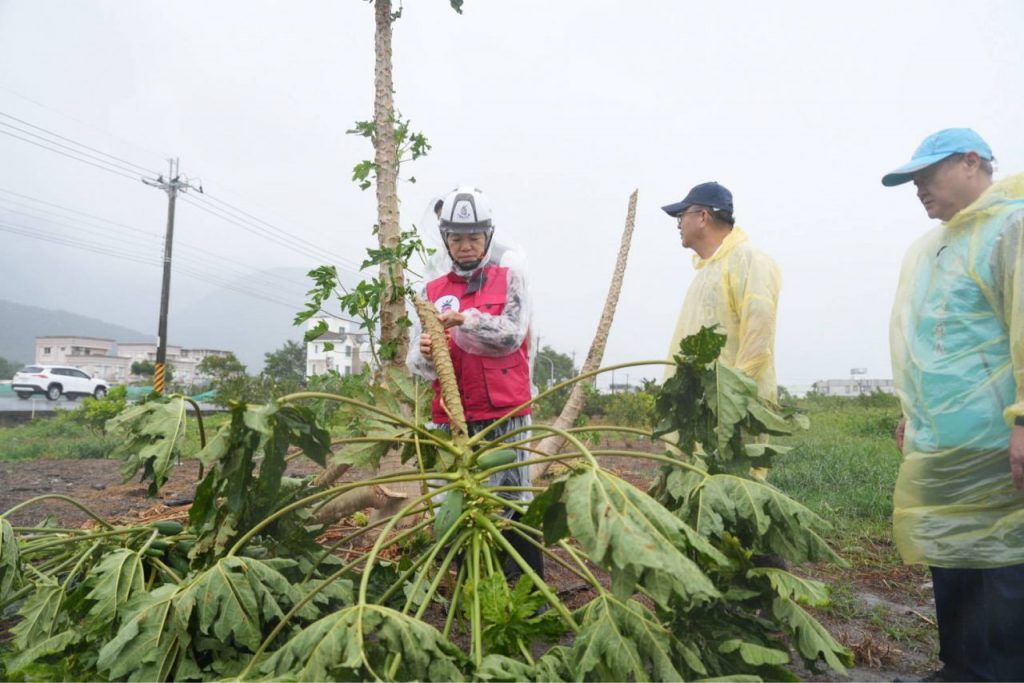 從地方防災協力到六級農業升級 游淑貞擘畫花蓮健康農業新願景插图3 從地方防災協力到六級農業升級 游淑貞擘畫花蓮健康農業新願景插图3