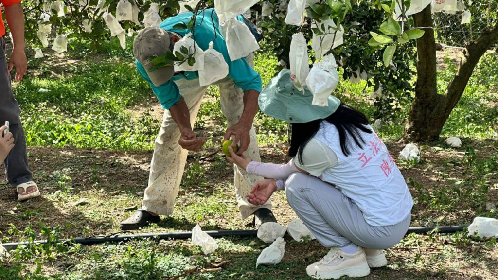 薔琵颱風肆虐    陳瑩赴果園漁港勘災    陳瑩要求農業部加速補助作業插图3