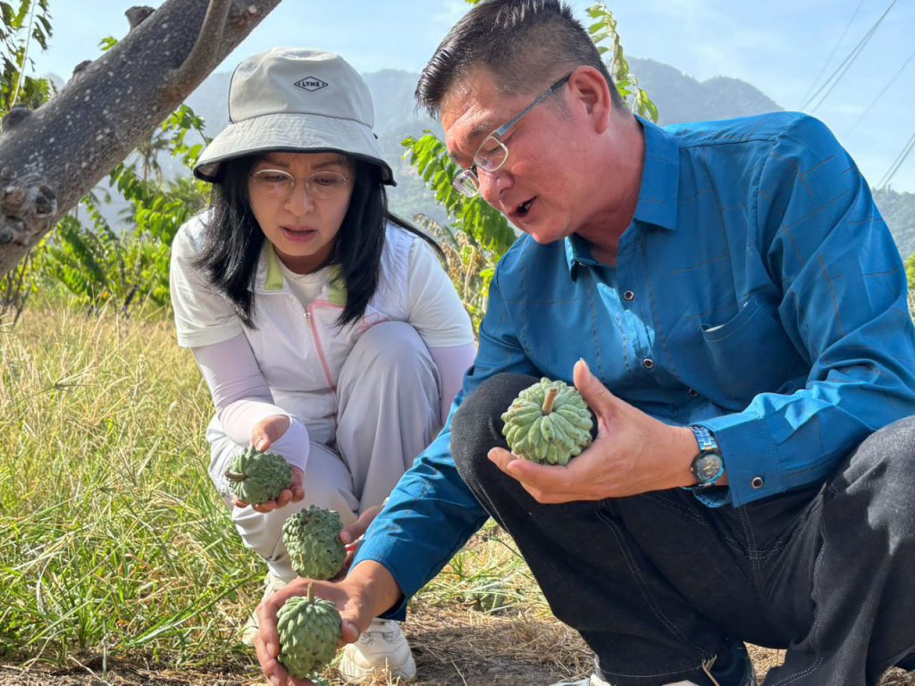 薔琵颱風肆虐    陳瑩赴果園漁港勘災    陳瑩要求農業部加速補助作業插图2